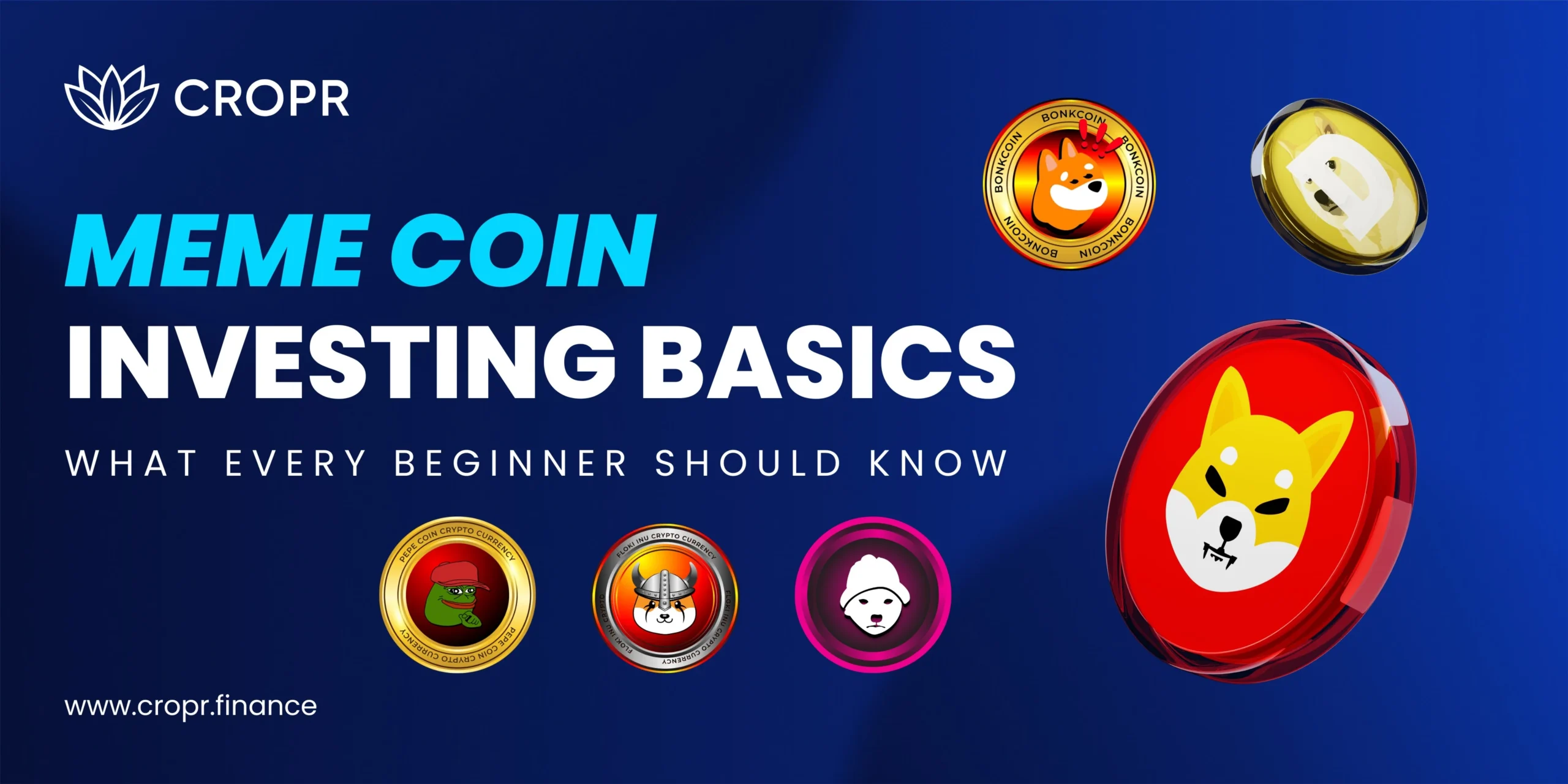 Meme Coins